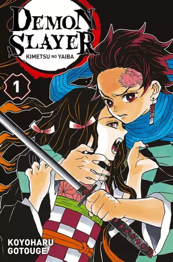 Demon Slayer_ Kimetsu no Yaiba EN Cover Image